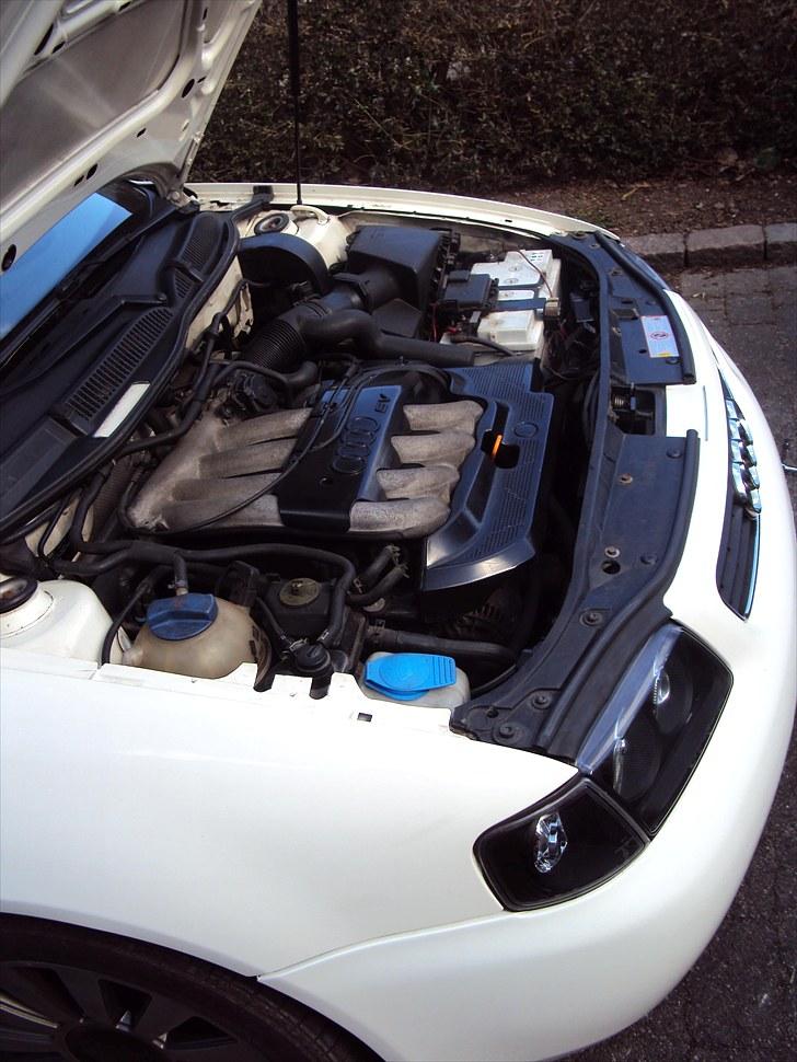 Audi A3 (SOLGT) billede 7