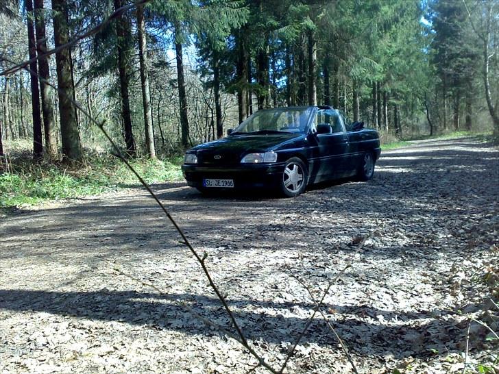 Ford Escort Cabriolet (sommer) billede 8