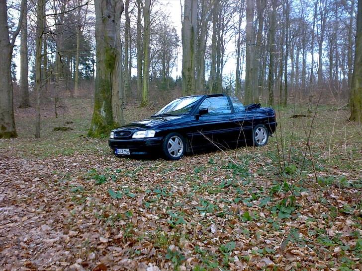 Ford Escort Cabriolet (sommer) billede 9
