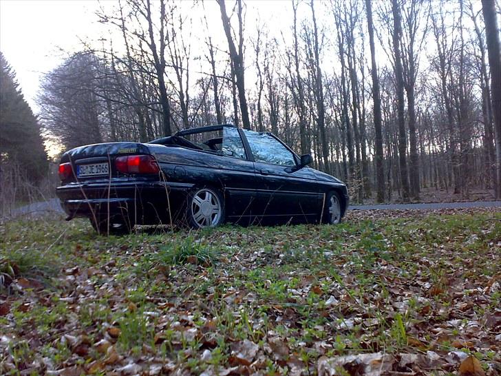 Ford Escort Cabriolet (sommer) billede 10