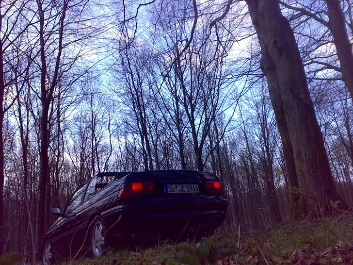 Ford Escort Cabriolet (sommer) billede 12