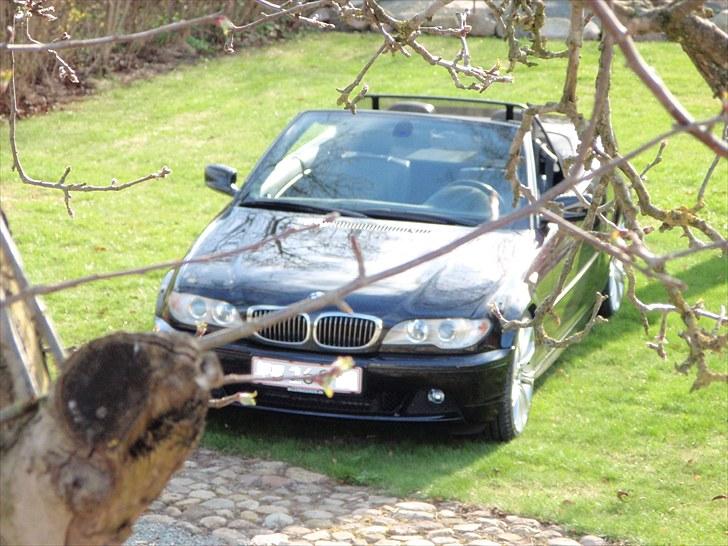 BMW 323 ci cabriolet."solgt" billede 18