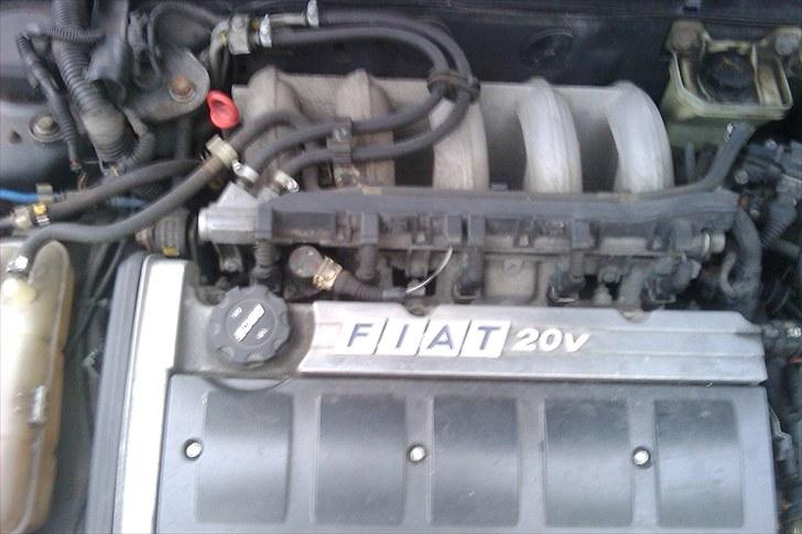 Fiat bravo HGT  billede 8