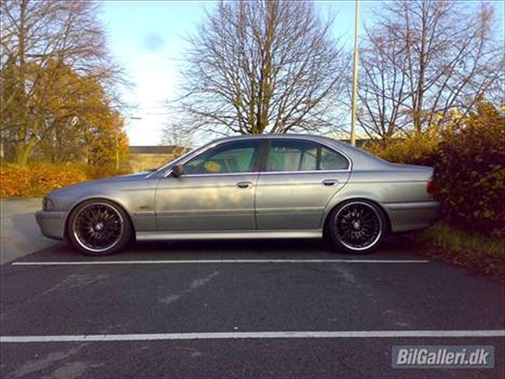 BMW 528i e39 billede 2