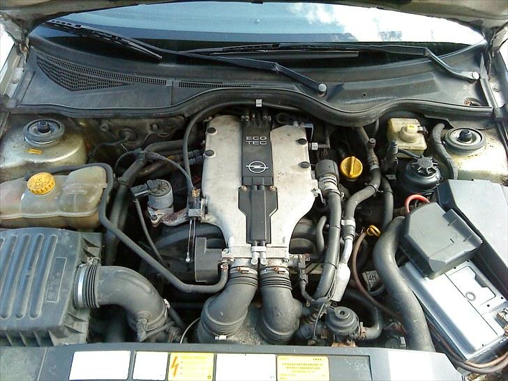 Opel 3,0 MV6 Special Edition.. billede 7