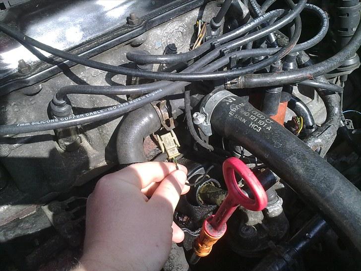 Honda civic (Total Skadet) billede 11