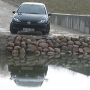 Peugeot 206 black- SOLGT*