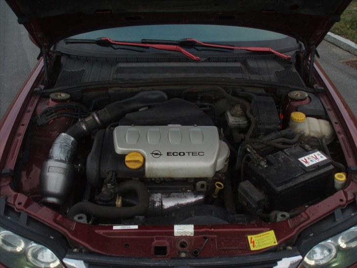 Opel Vectra B billede 18