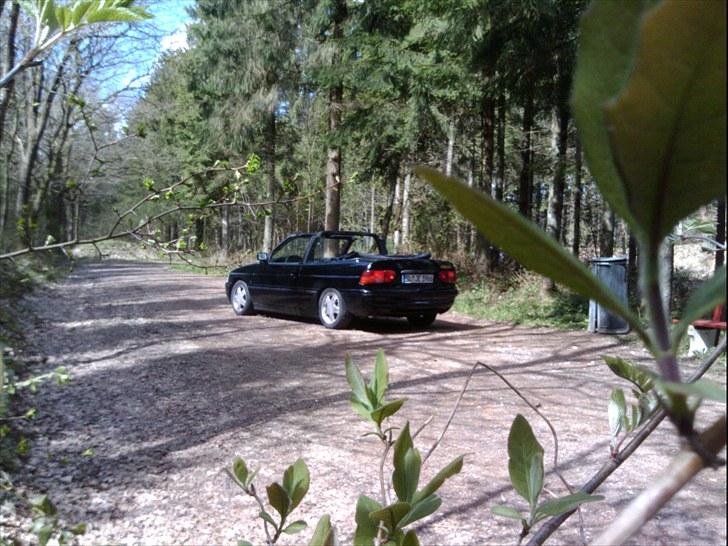 Ford Escort Cabriolet (sommer) billede 13