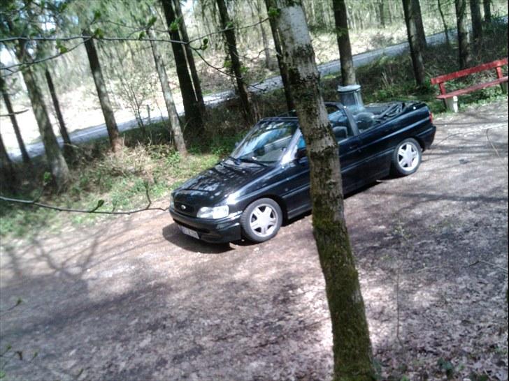 Ford Escort Cabriolet (sommer) billede 14