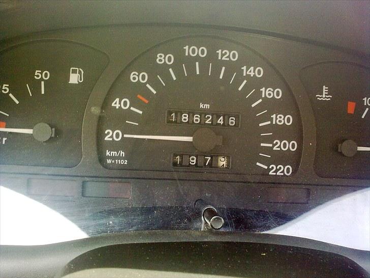 Opel Astra F Club Caravan - Sommer 2009 billede 6