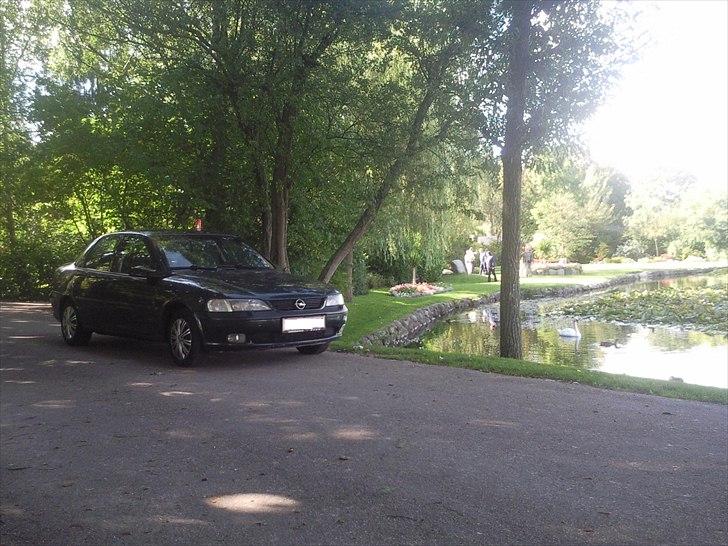 Opel Vectra billede 1