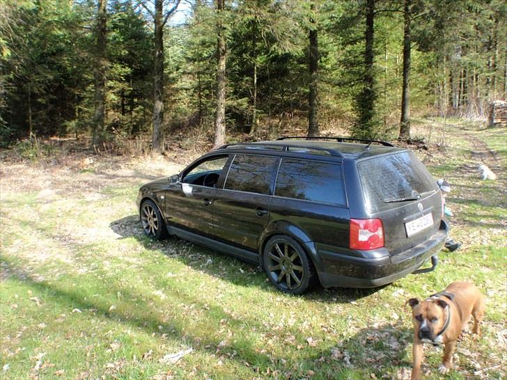 VW Passat 3B STC  - beskidt bil med nymalede fælge... billede 4