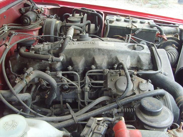 Nissan patrol gr - hjertet billede 10