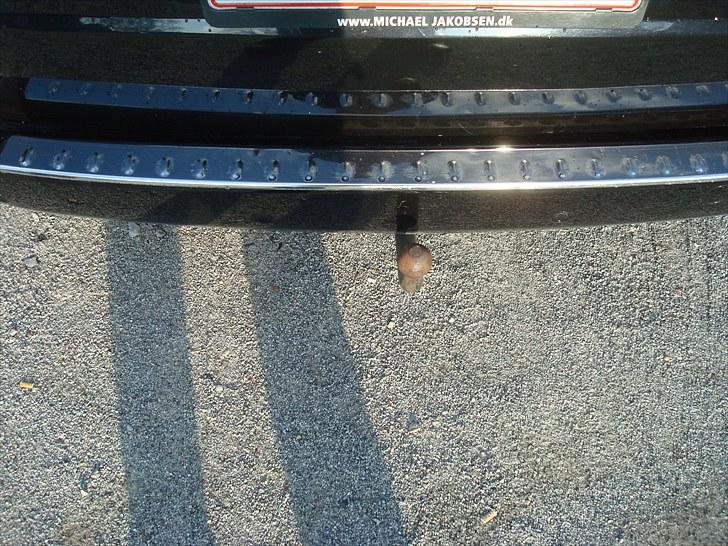 Ford Mondeo Ghia X - Chrome læssekant billede 16