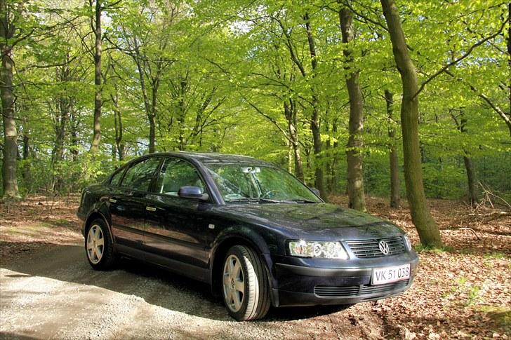 VW Passat 3B billede 14