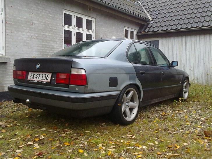 BMW 530i billede 6