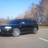 VW passat 3bg