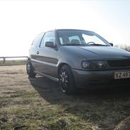 VW polo 6n 1996  (SOLGT)