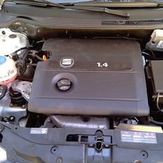 Seat Ibiza Stella 6L