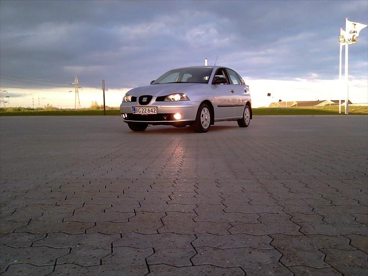 Seat Ibiza Stella 6L billede 1