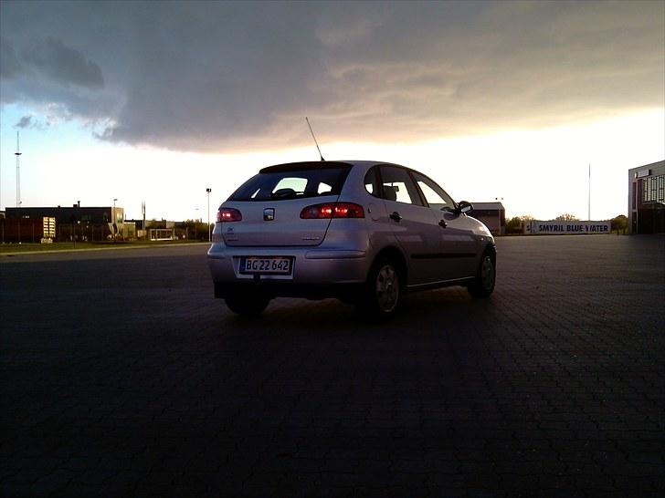 Seat Ibiza Stella 6L - Elsker dette billed... billede 2