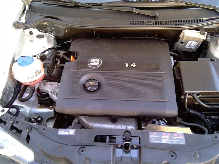 Seat Ibiza Stella 6L billede 3