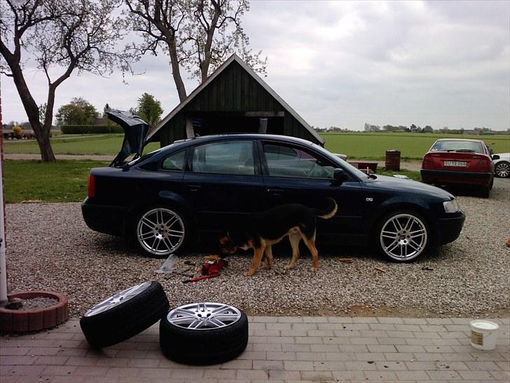 VW passat 3b billede 14