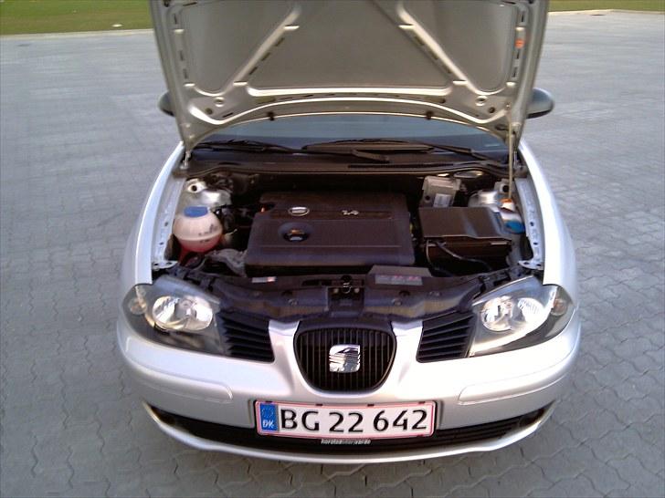Seat Ibiza Stella 6L billede 4