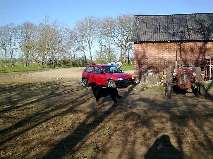 Opel corsa b nz 1,4i (solgt) billede 12