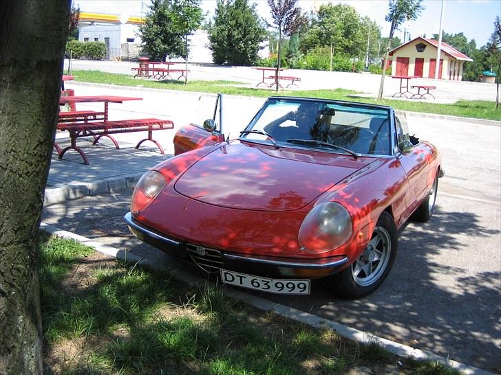 Alfa Romeo Spider 1750 Veloce billede 3