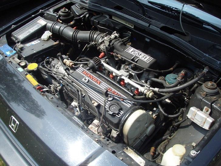 Honda CRX  billede 4