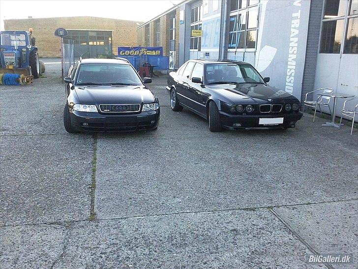 Audi A4 / S4 - Tdi vs V8 =) billede 16