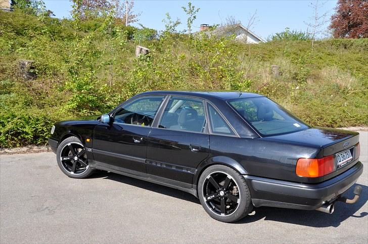 Audi 100 Limo. 2,6V6 (c4) - Der er Hun sænket, og med sommer dæk. billede 6