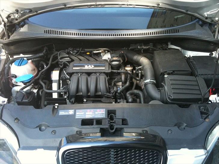 Seat Altea billede 11