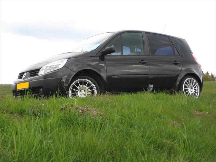 Renault Scenic II 1,9 dCi *Solgt* billede 1