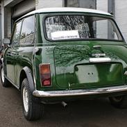 Austin-Morris Mascot