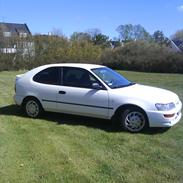 Toyota Corolla DØD ! :`/