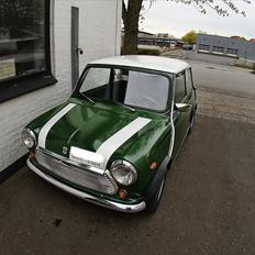 Austin-Morris Mascot