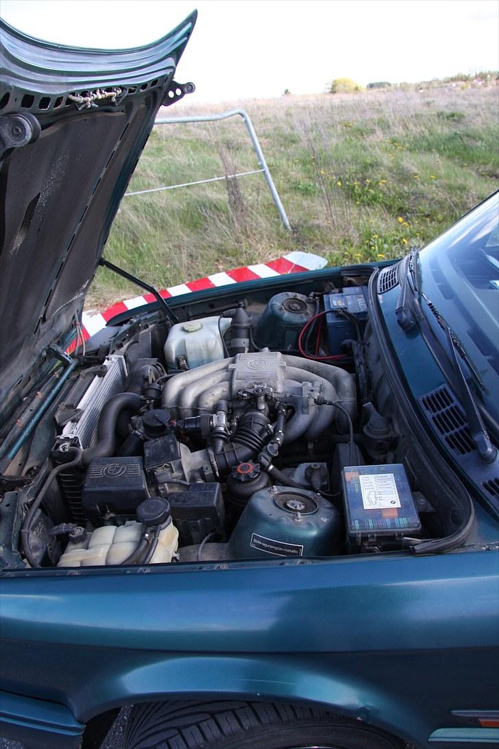 BMW e30 320i touring - Solgt billede 6