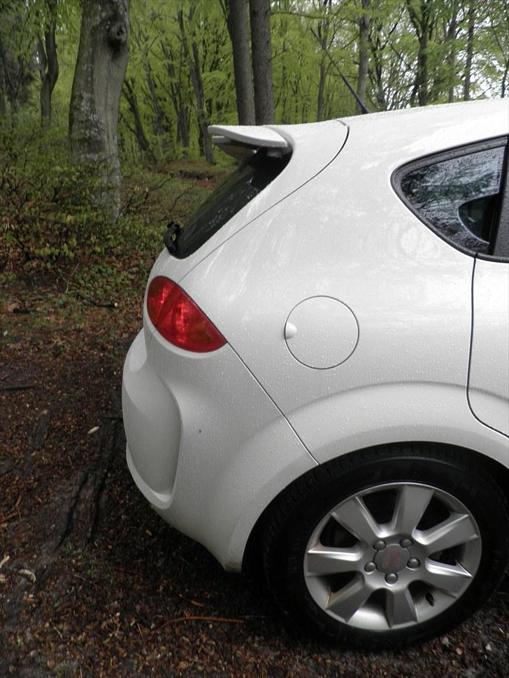 Seat Leon Ecomotive - SOLGT billede 8