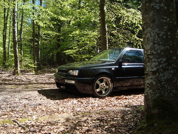 VW Golf 3 VR6 billede 7