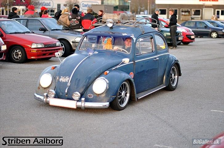 VW Bobbel billede 6