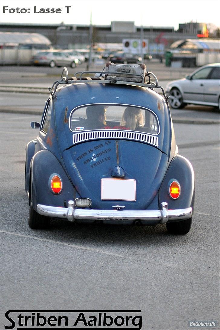 VW Bobbel billede 7