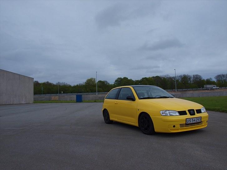 Seat Ibiza 6k2 "Black edition" billede 1
