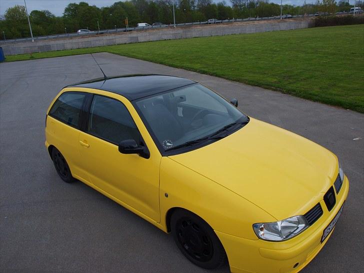 Seat Ibiza 6k2 "Black edition" billede 6