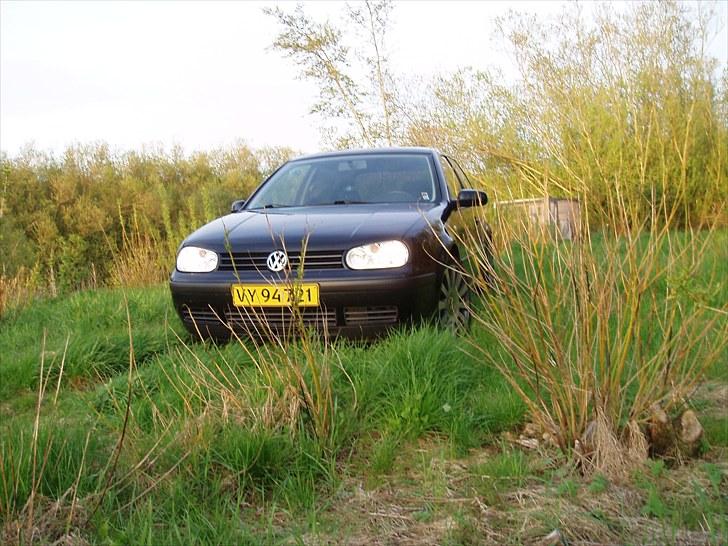 VW Golf IV billede 7