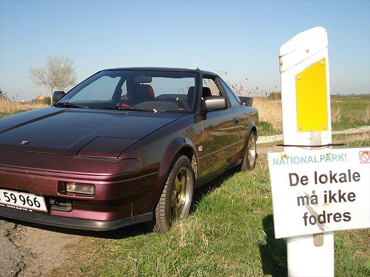 Toyota Mr2 aw11 billede 7