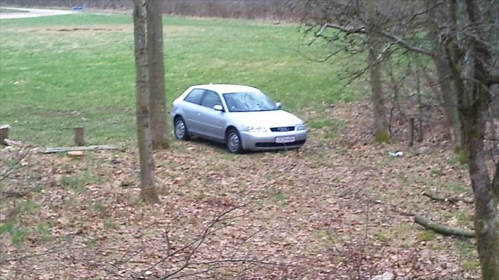 Audi A3 solgt billede 11