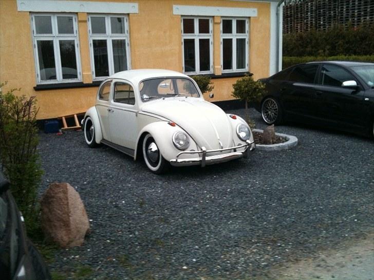 VW Bobbel billede 6